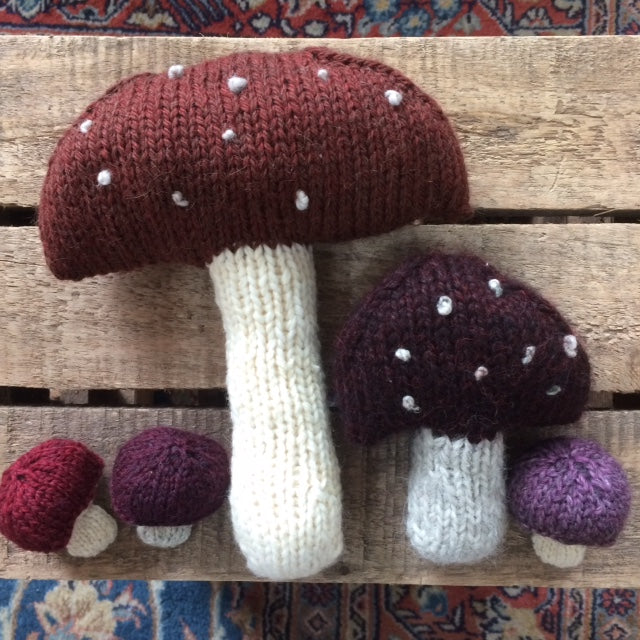 2019 : Woolly funghi