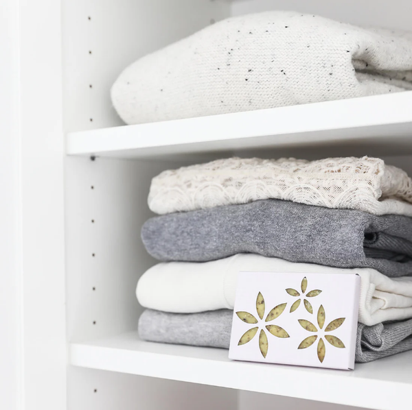 Bell Art : Clothes Companion