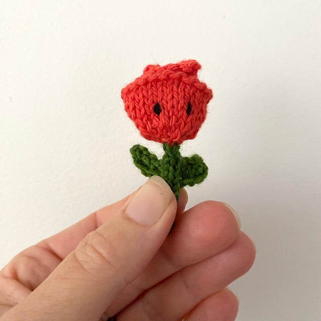 2023 : Tiny Rose