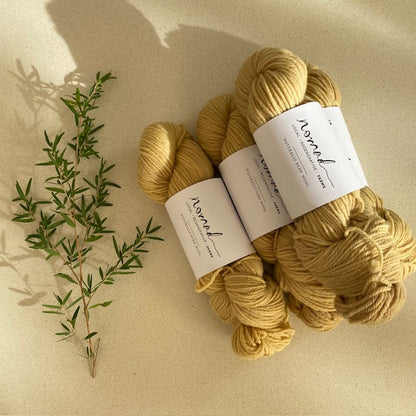 Nomad Yarns : Botanically Dyed 8ply Polwarth