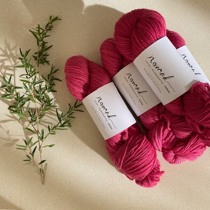 Nomad Yarns : Botanically Dyed 8ply Polwarth