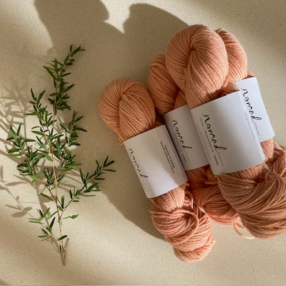 Nomad Yarns : Botanically Dyed 8ply Polwarth